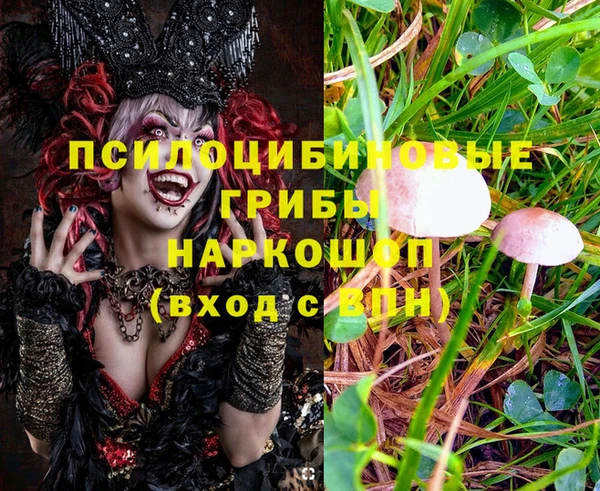 метадон Алзамай