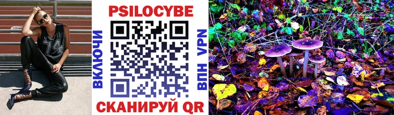 Галлюциногенные грибы Psilocybe  Черноголовка 